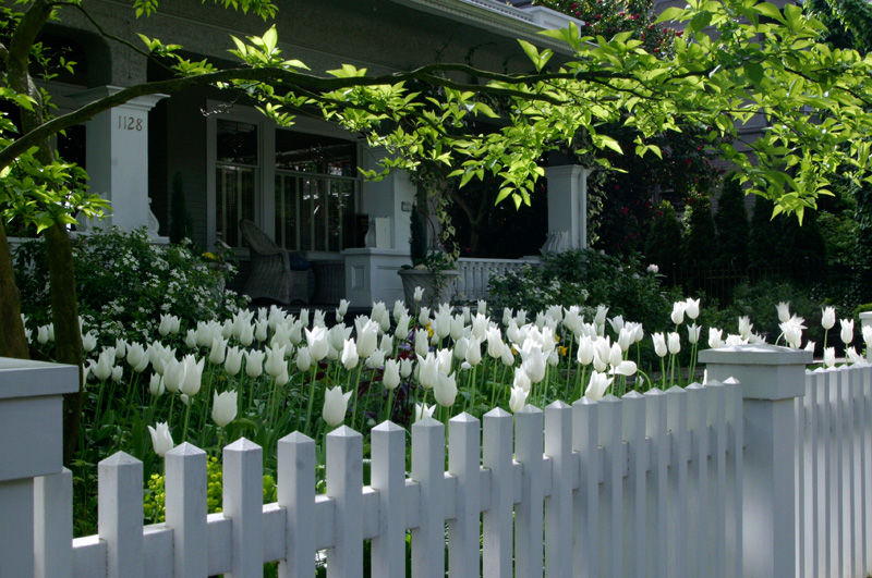 Tulip residence