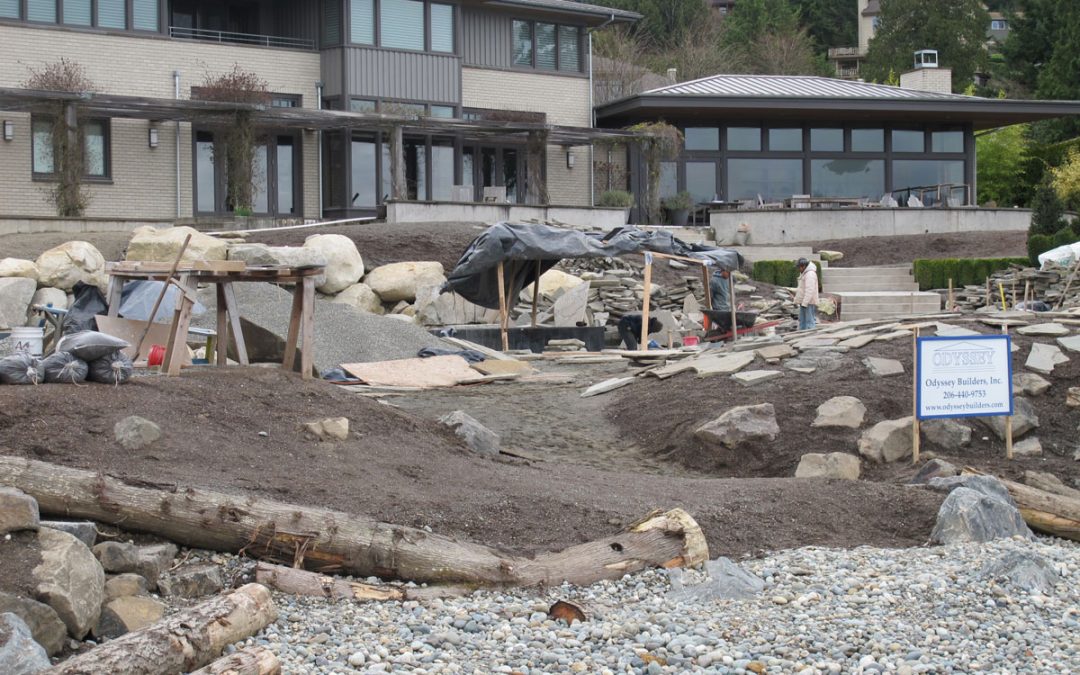 A Glimpse of Shoreline Restoration